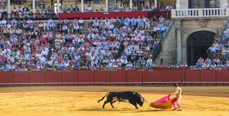 The Ritual of The Bullfight, Seville in Andalucía, Spain