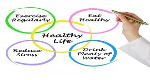 The 4 Habits of a Healthy Lifestyle