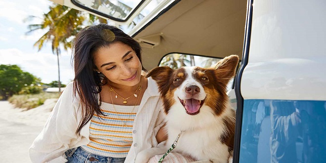 Hound Dog Highway How to Survive a Long Road Trip with Your Dog