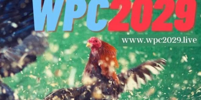 WPC2029 Live Register and sign in to Dashboard Cycle 2022