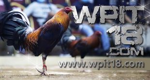 What Is Wpit18.Com? How Does WPC Work?