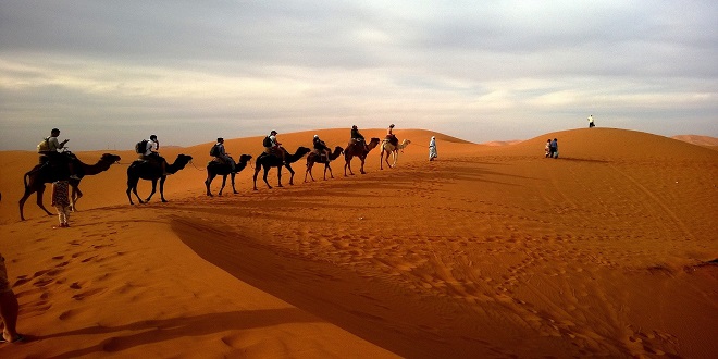 Best Desert Safari and Top 5 Places to Visit in Dubai