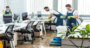 The Benefits of Hiring Professional Cleaners for Your Office