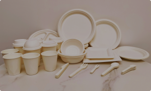 Eco-Friendly and Practical: Ecosource's Biodegradable Food Containers