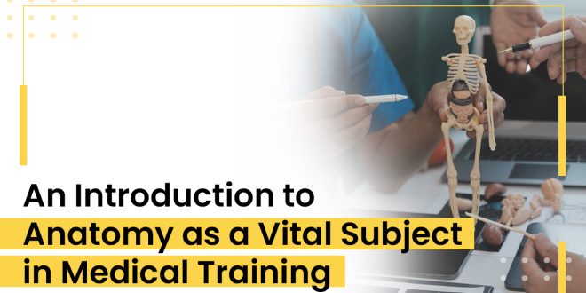 An Introduction to Anatomy as a Vital Subject in Medical Training